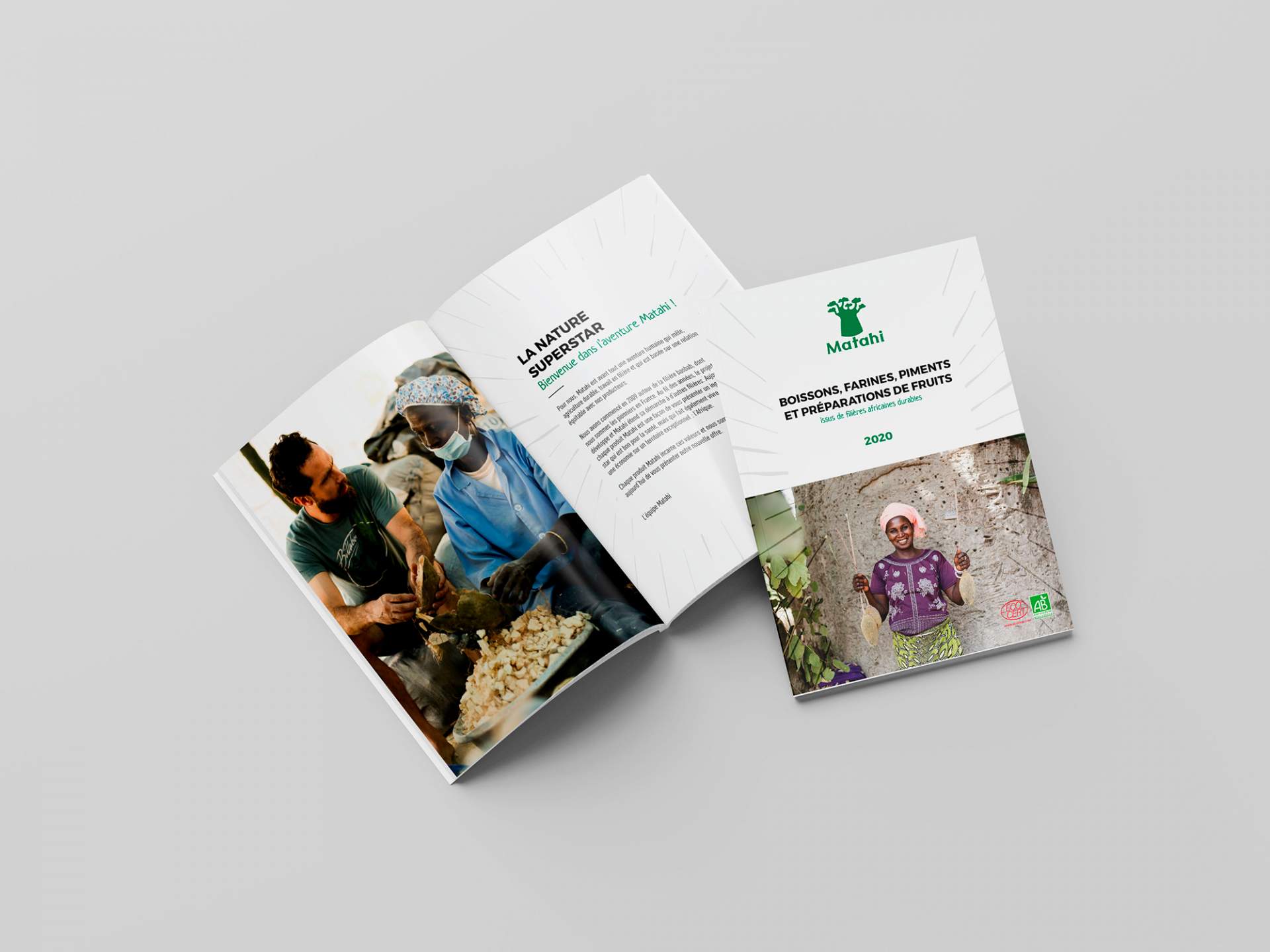 Création de la brochure de Matahi